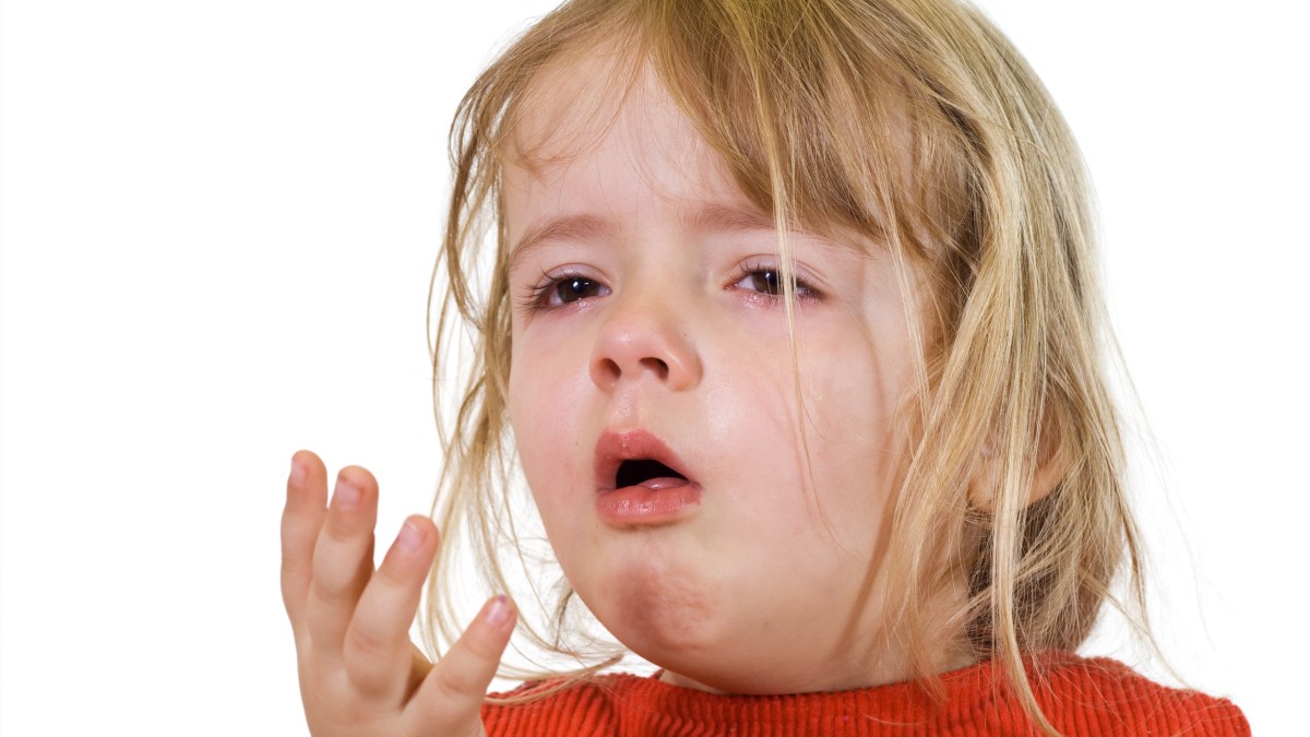 shutterstock_22812520