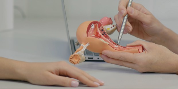 UTERUS