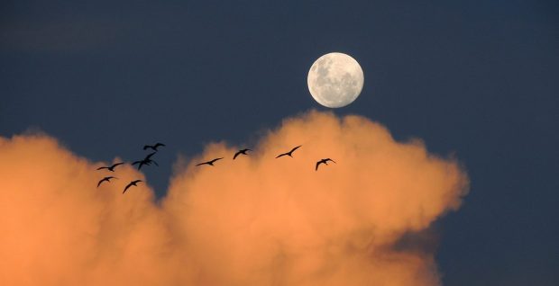 La belleza de la Luna
