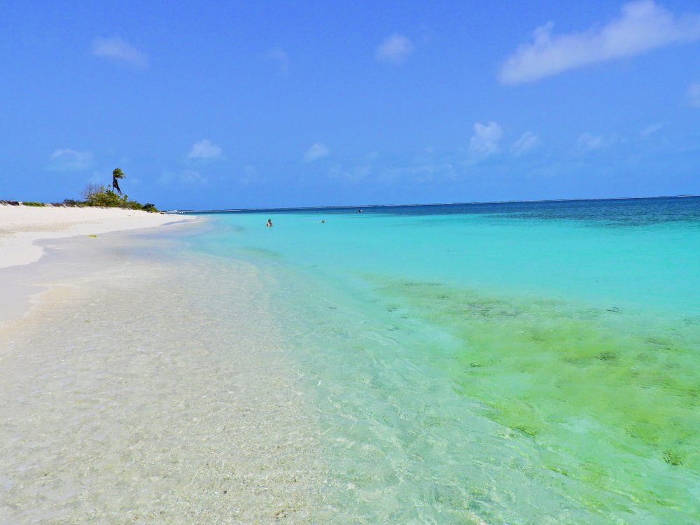 LOS ROQUES