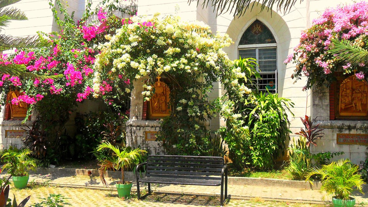 GARDEN