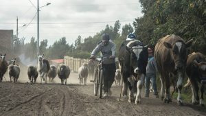 CHIMBORAZO