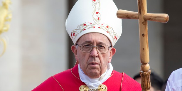 POPE PALM