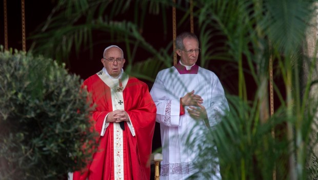 POPE PALM