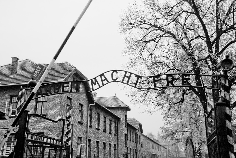 auschwitz-2558999_960_720.jpg