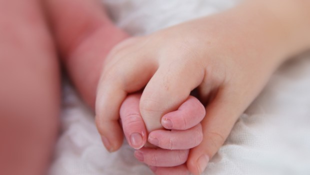 HANDS, BROTHER, SISTER