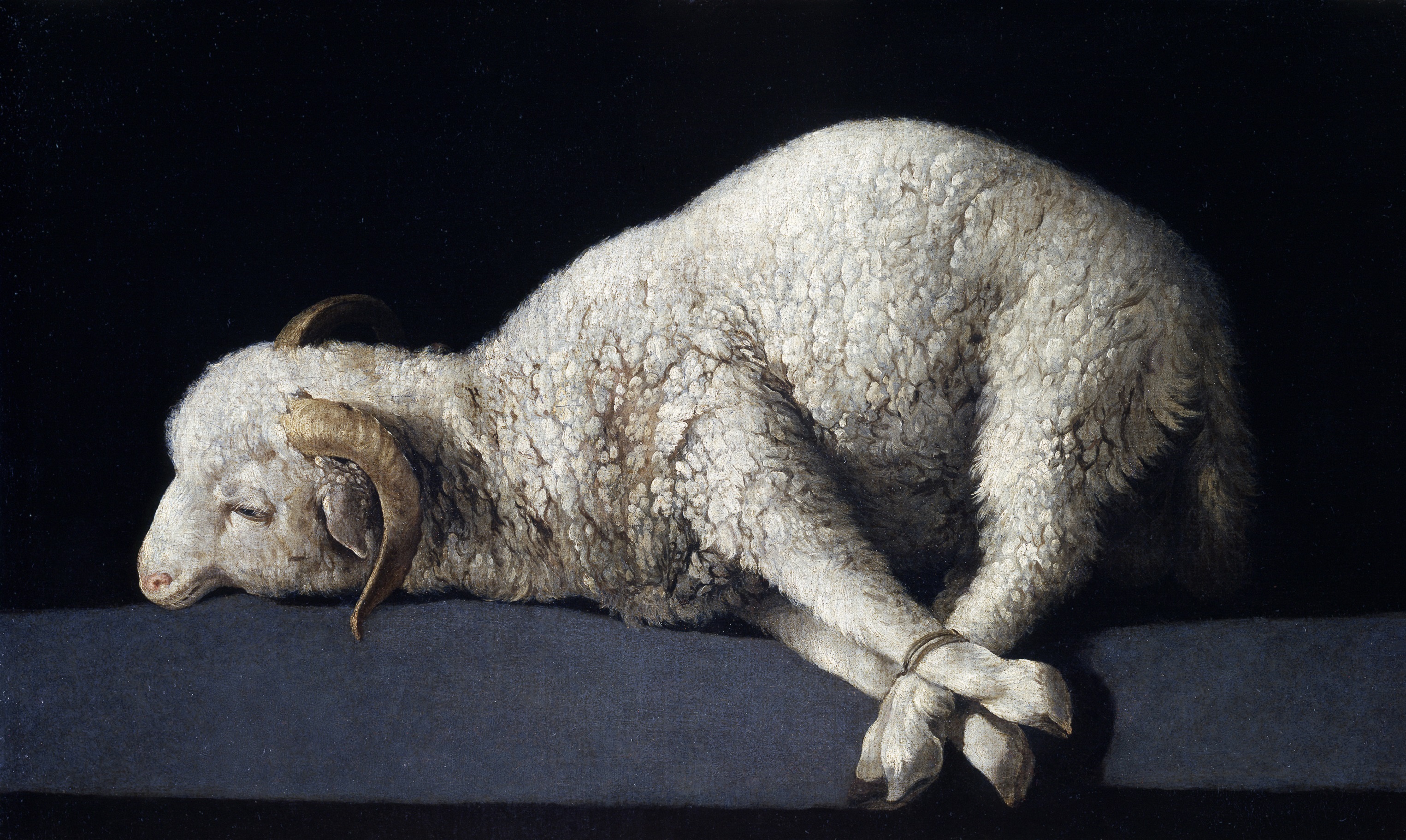 Agnus Dei - Zurbaran