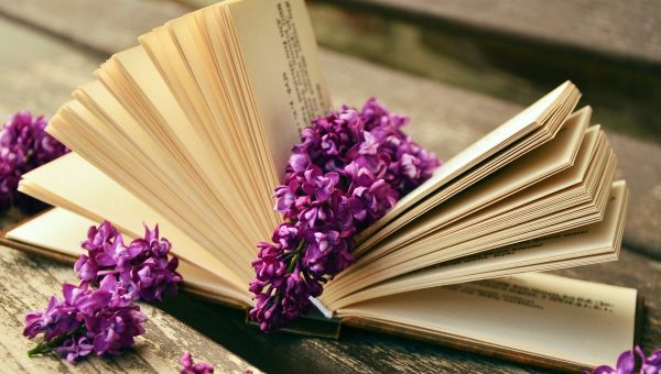 WEB 3 BOOK AND FLOWERS