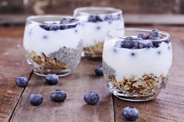 kefir