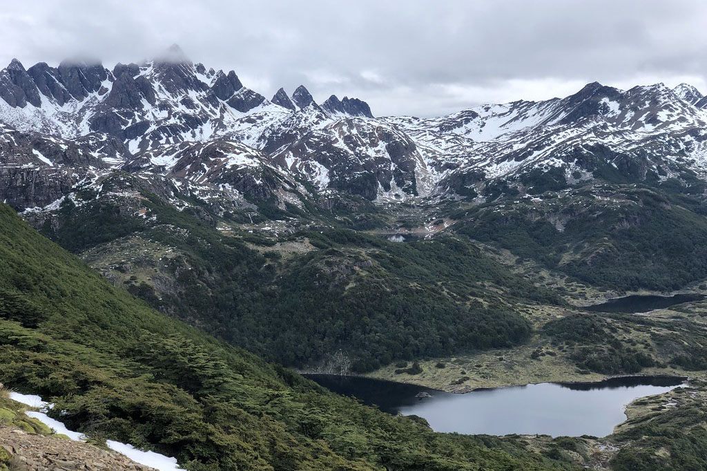 PUERTO WILLIAMS