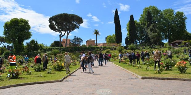 ROSETO