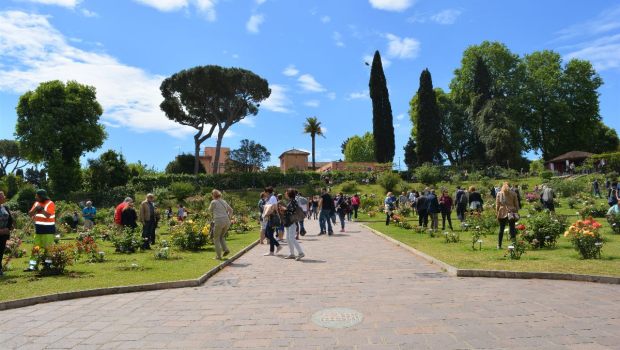 ROSETO