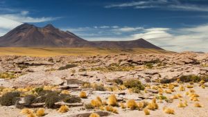 ATACAMA