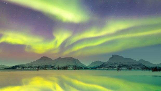 NORTHERN LIGHT