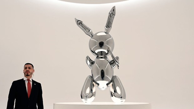 RABBIT