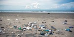 LITTER