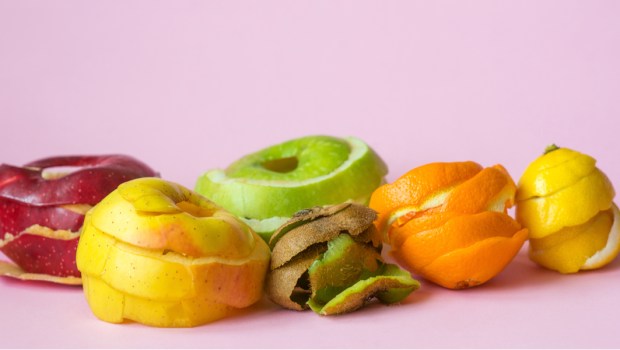 fruit
