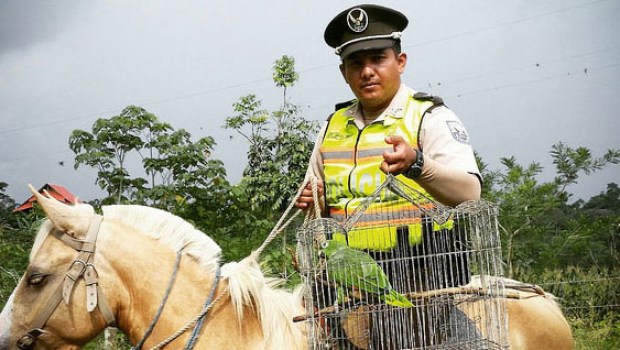 ECUADOR