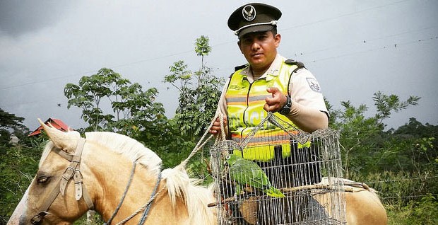 ECUADOR