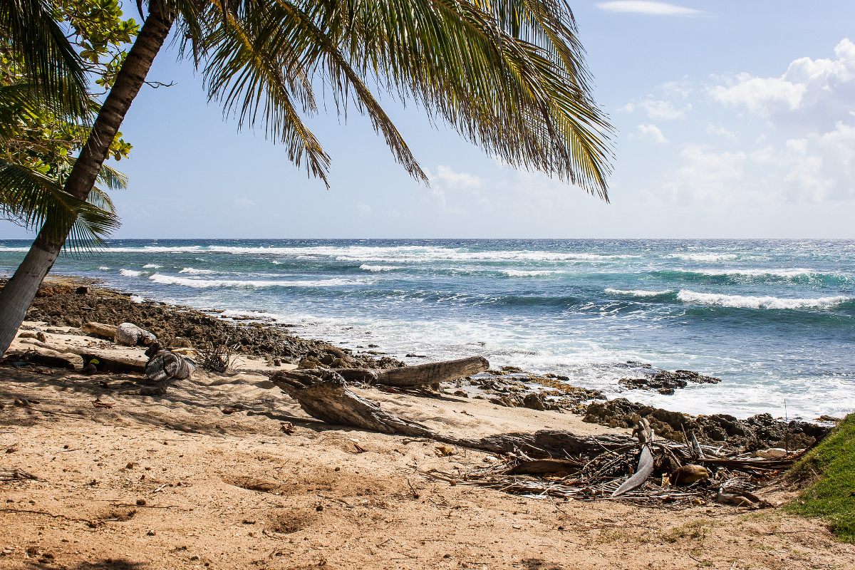 SAN ANDRES
