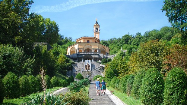 MADONNA DEL BOSCO
