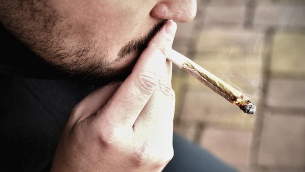 CANNABIS