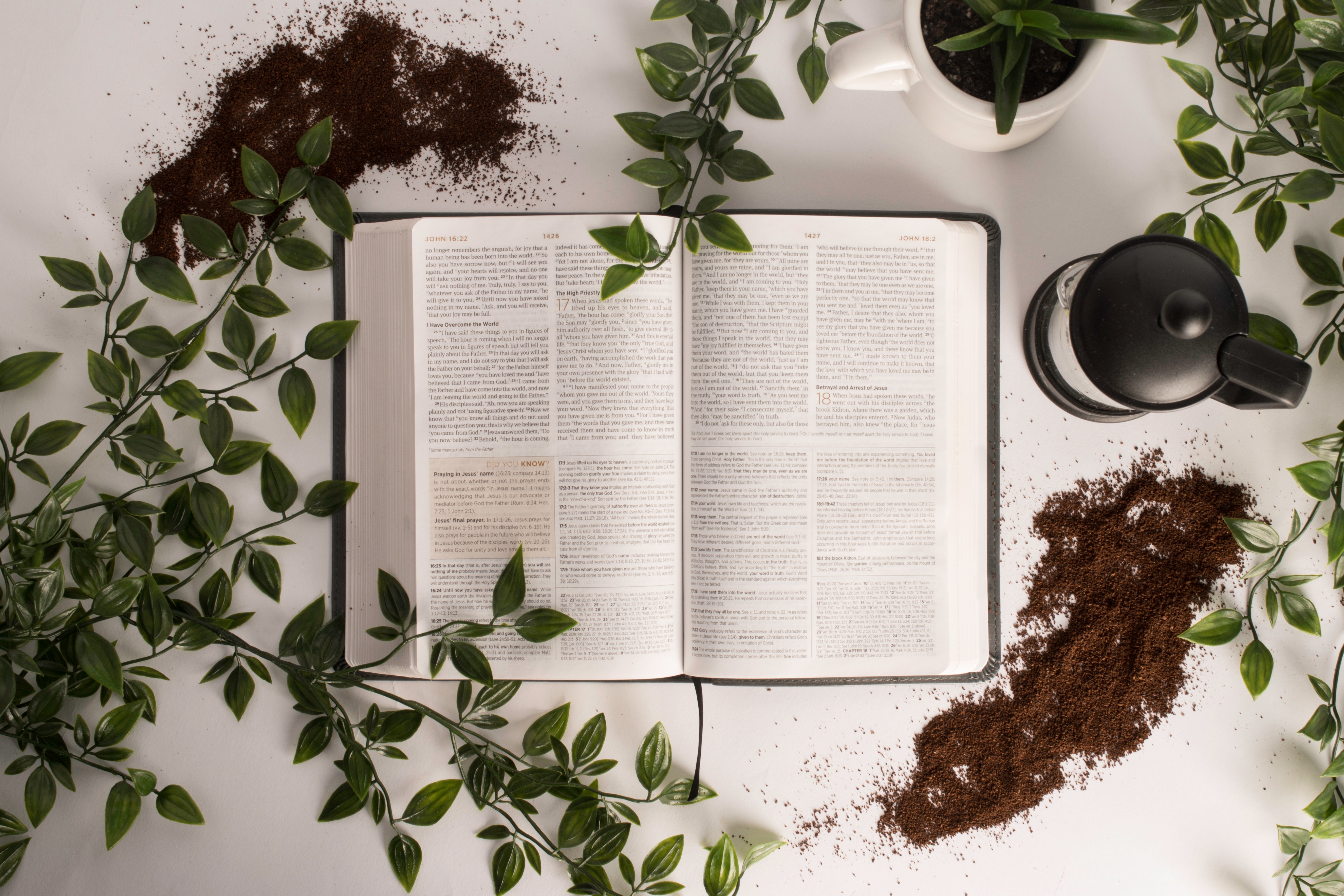 Biblia rosliny i kawa