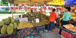 FRUITS
