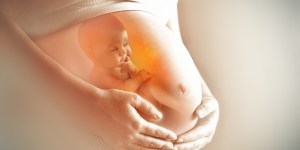 La ciencia explora el bellísimo misterio de la comunicación entre la mamá y el feto