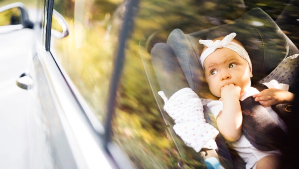 little baby security belt