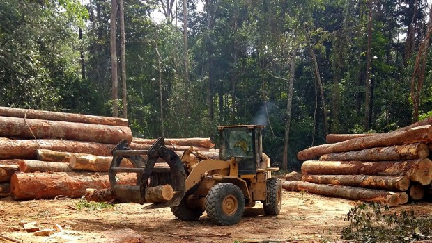 DEFORESTATION