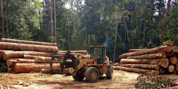 DEFORESTATION