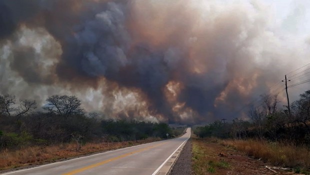 BOLIVIA FIRE