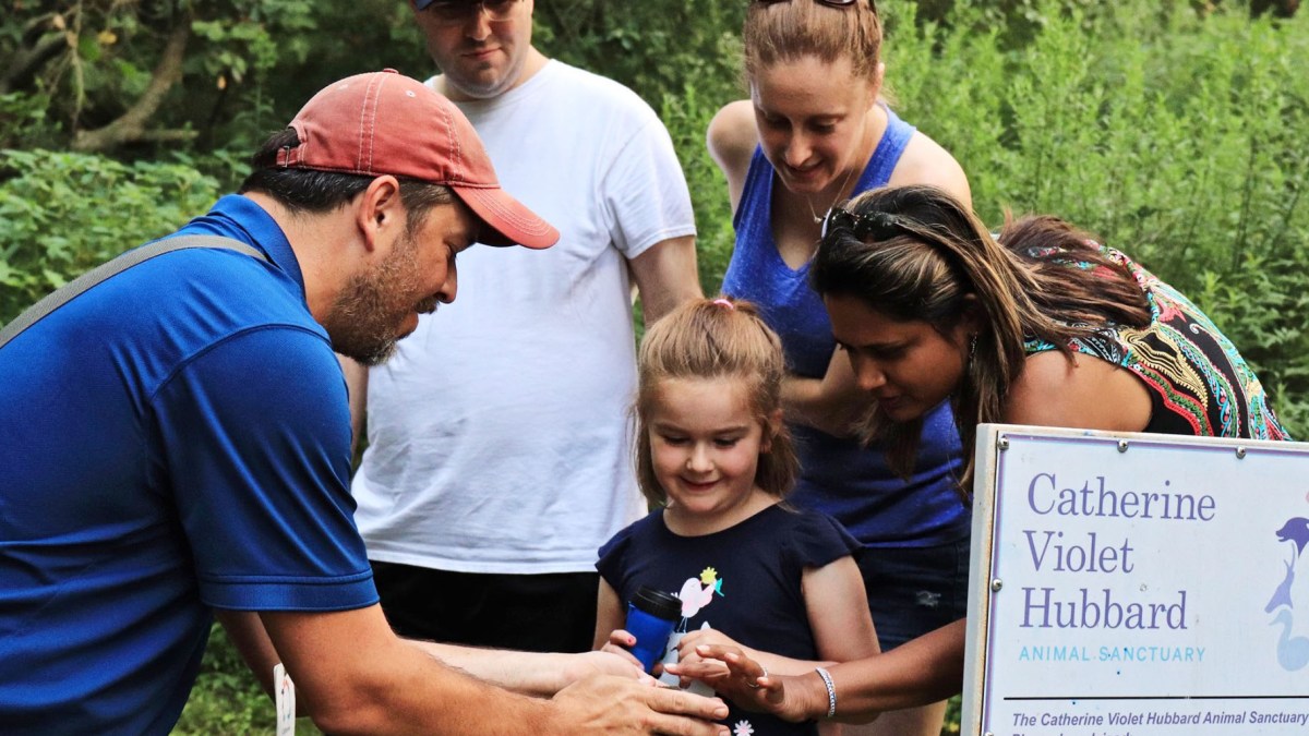 ANIMAL SANCTUARY