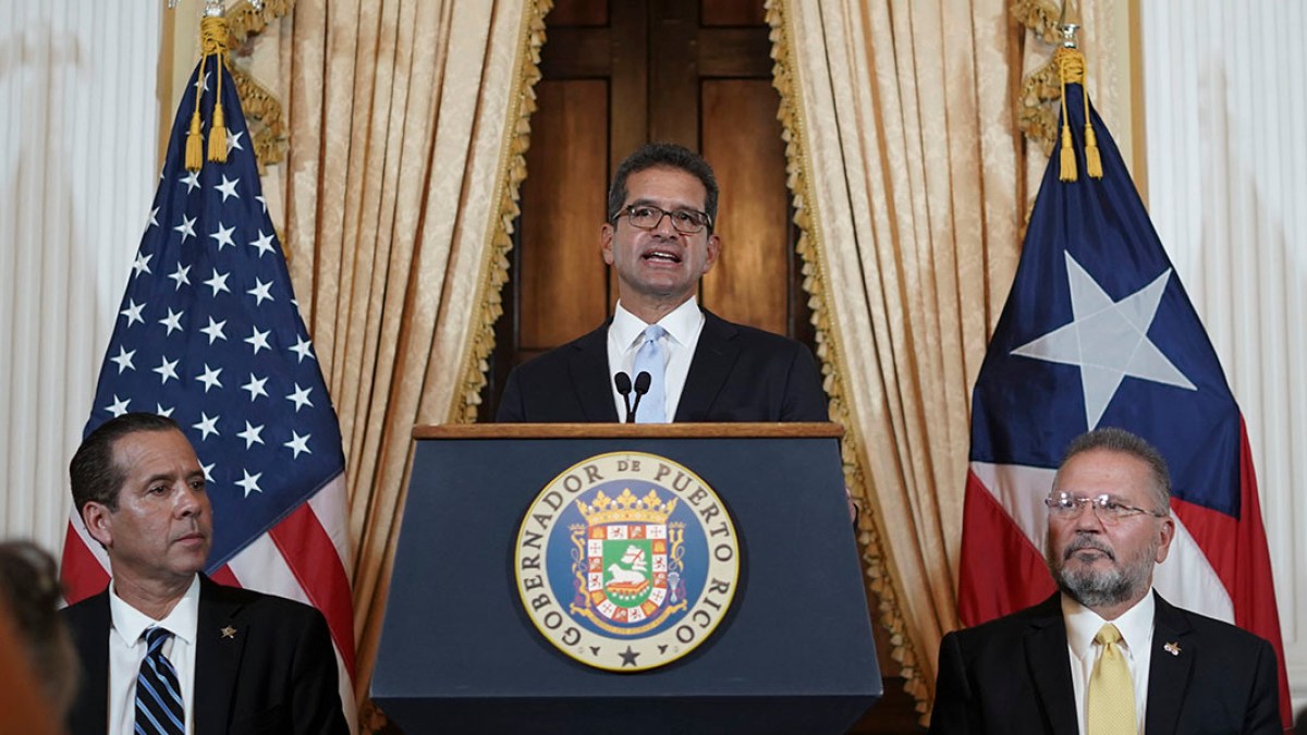 PEDRO PERLUISI