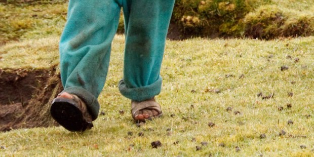 FEET