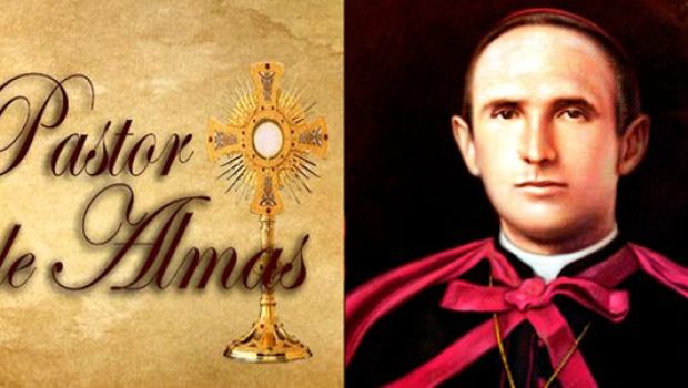 SALVADOR MONTES DE OCA