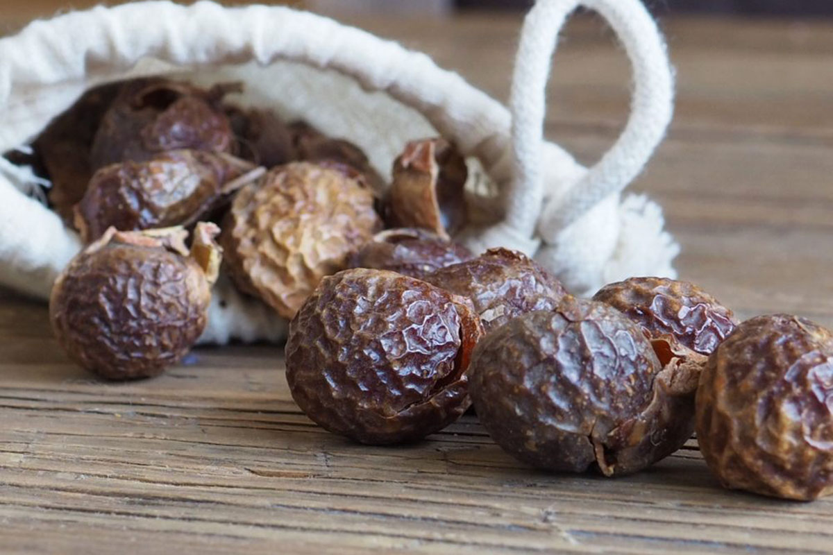 web-01-soap-nuts-wood-table-shutterstock-kati-kemppainen-1383996704.jpg