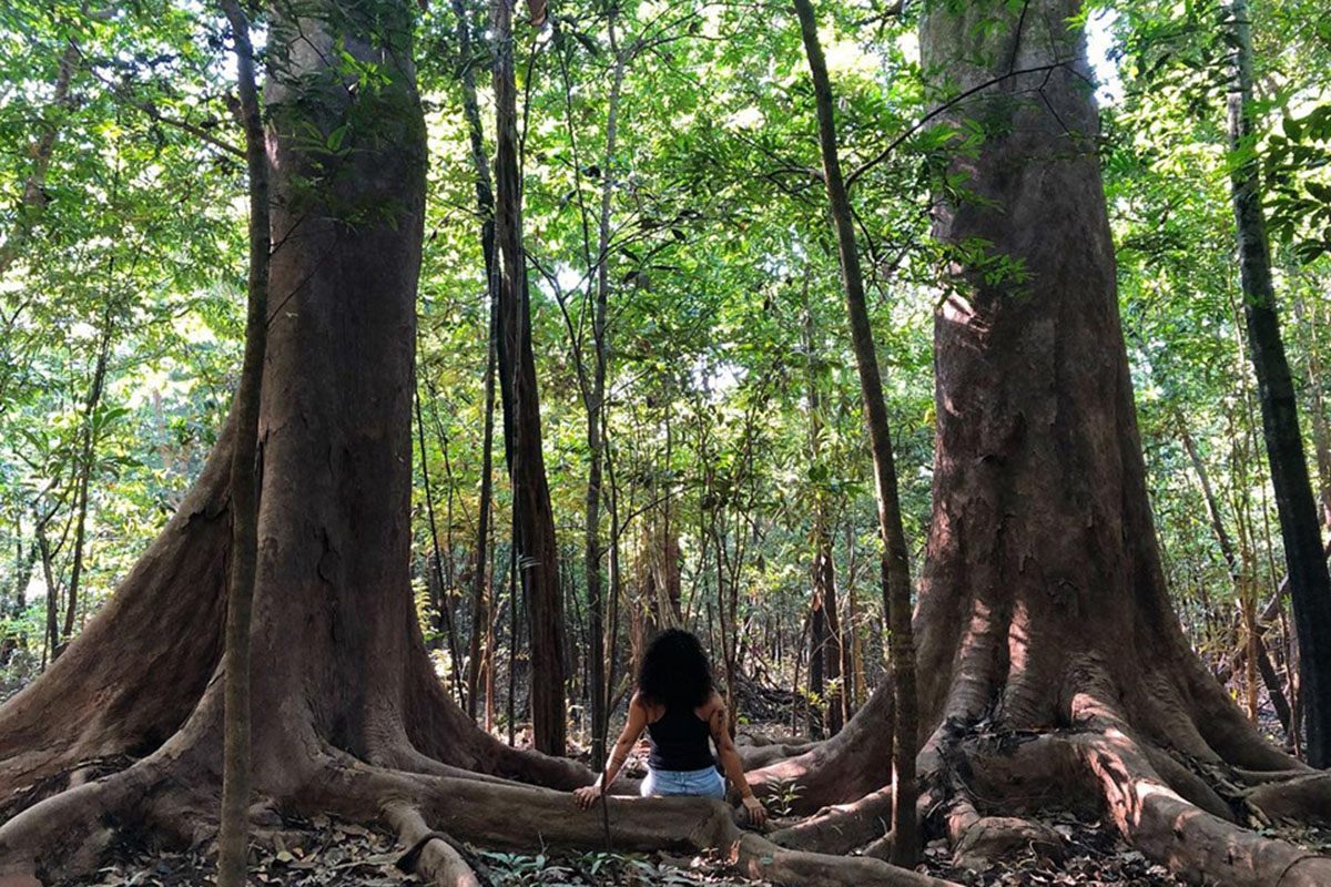 PARQUE NACIONAL DO JAU