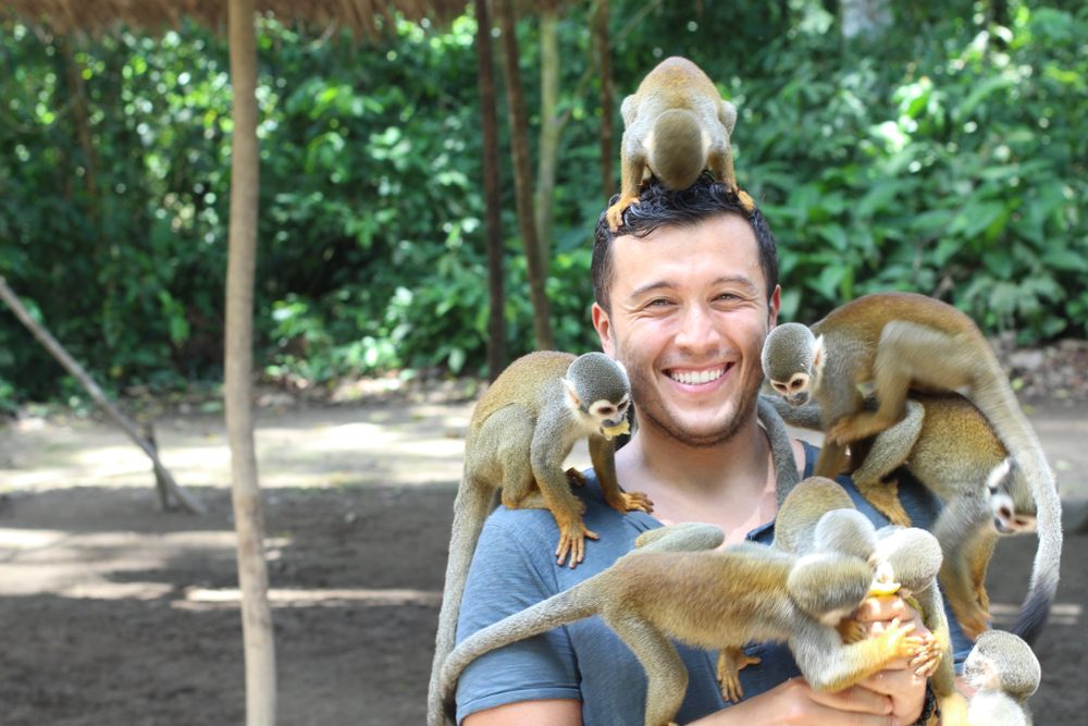 MONKEYS