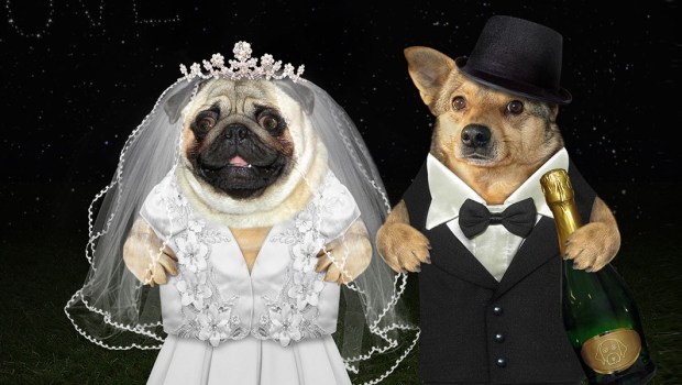 WEDDING
