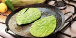 NOPAL