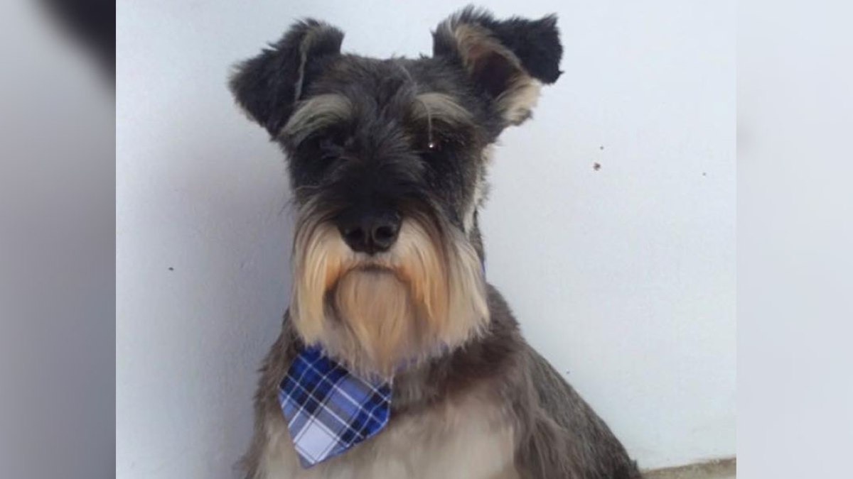 FRAY BIGOTON