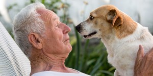 Citas bíblicas sobre el amor a los animales