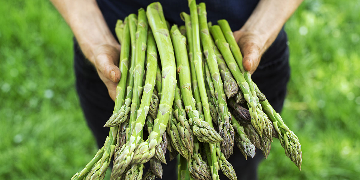 VEGETABLES
