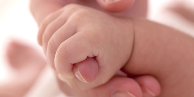 10 citas de la Teología del cuerpo de Juan Pablo II