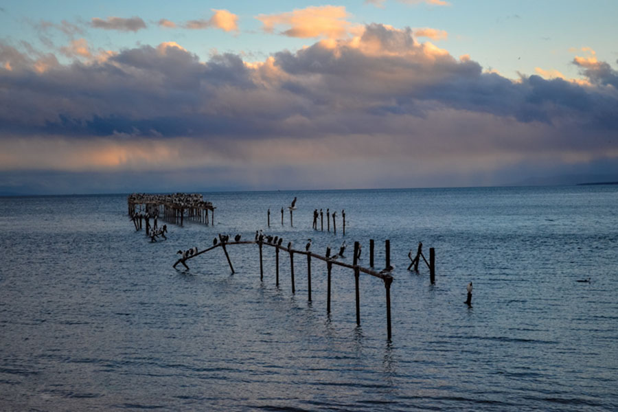 ISLA MAGDALENA