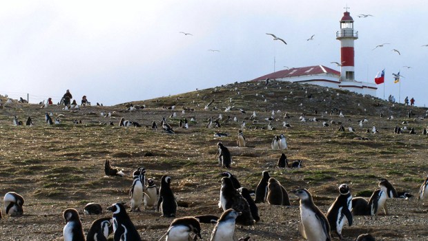 ISLA MAGDALENA