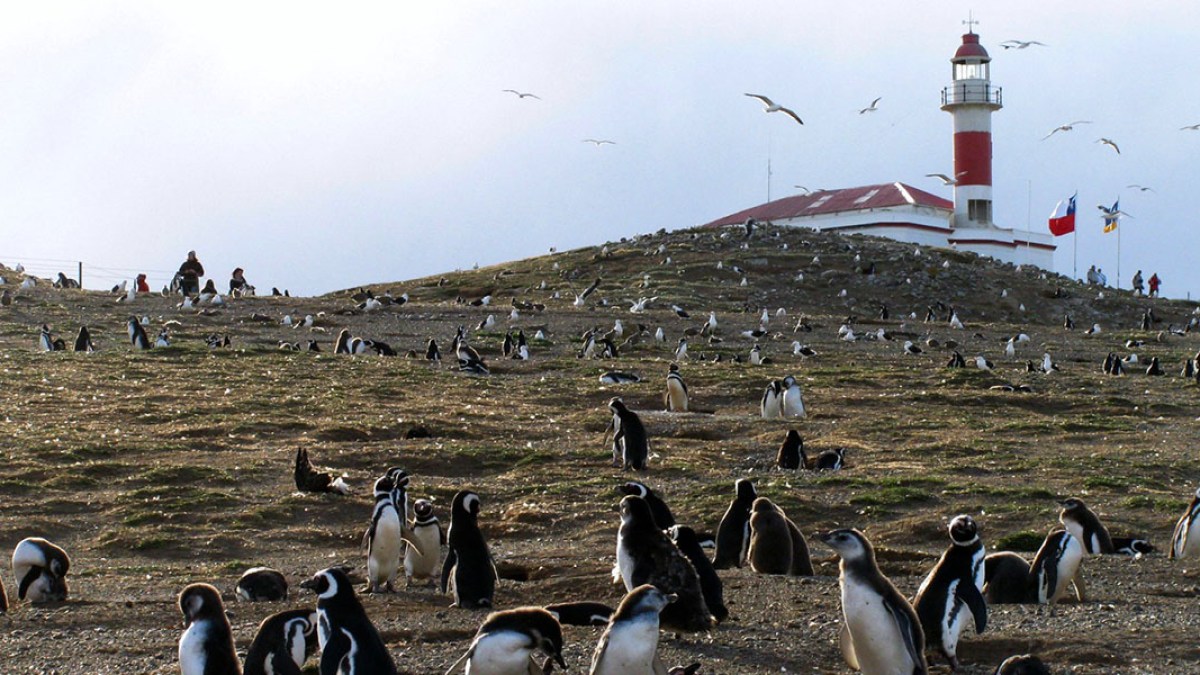 ISLA MAGDALENA