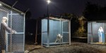 UMC